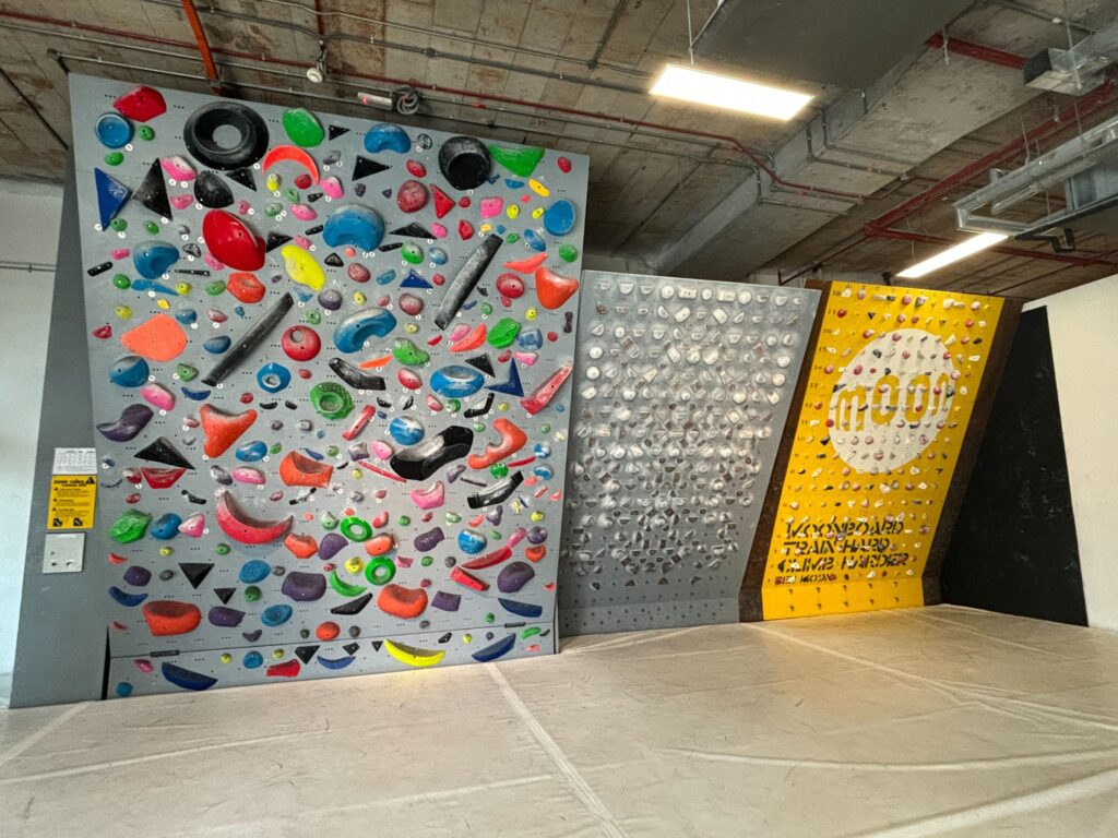 Climbing wall at Camp5 Eco City