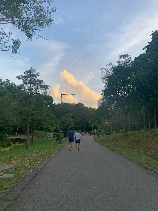 Trail at Bukit Jalil Recreational Park