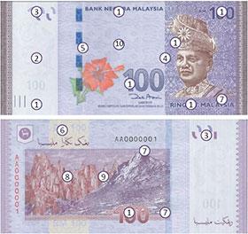 malaysia ringgit 100